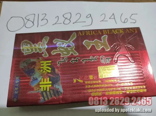 obat africa black ant asli