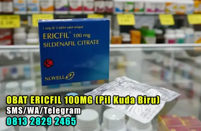 Kemasan obat Ericfil asli dengan kandungan Sildenafil Citrate 100 mg, produksi PT. Novell Pharm Labs