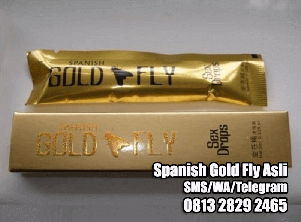 spanish gold fly asli