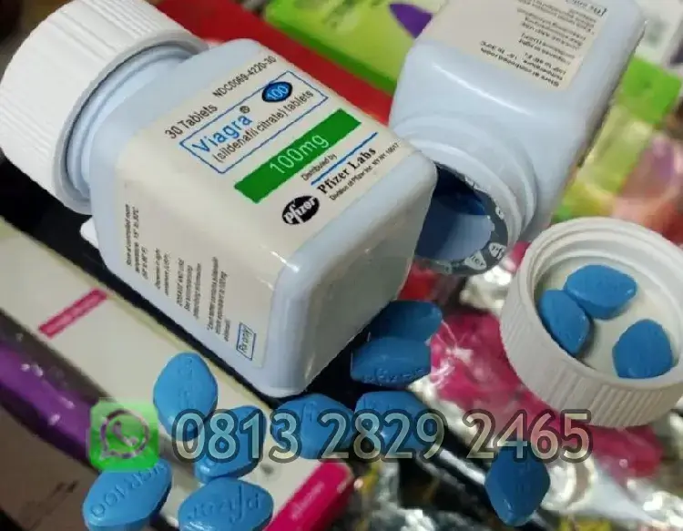 Viagra USA 100 mg obat ejakulasi dini di Sidoarjo Viagra USA 100 mg obat ejakulasi dini di Sidoarjo