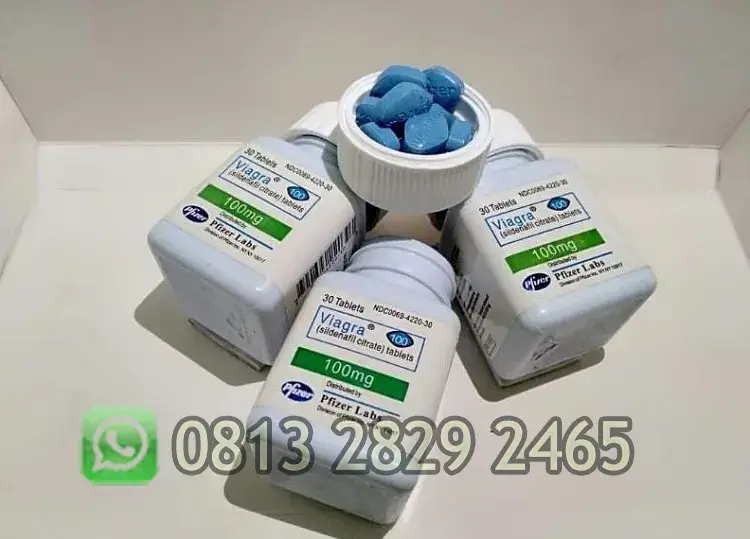 Viagra USA 100 mg obat ejakulasi dini Malang