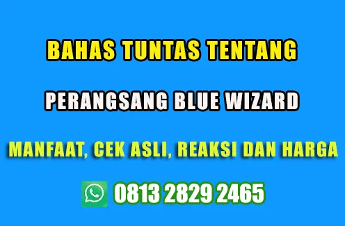 Ulasan Lengkap dan Pembahasan Blue Wizard Asli Germany