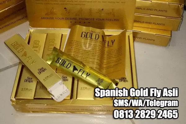 harga spanish gold fly